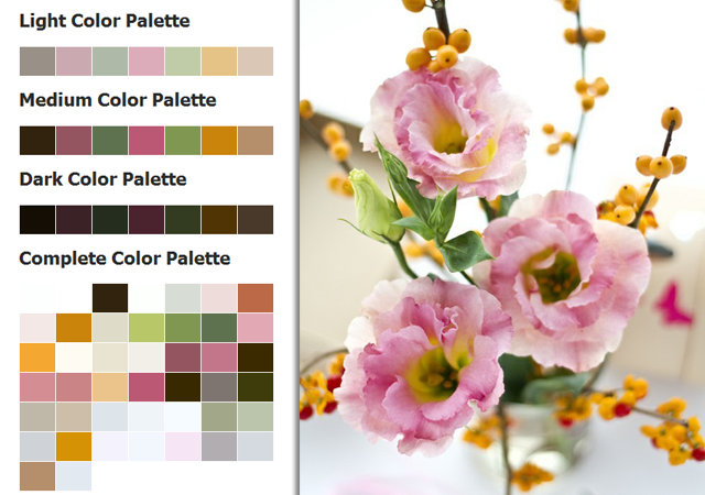 Color Palette Generators for Interior Design Color Schemes
